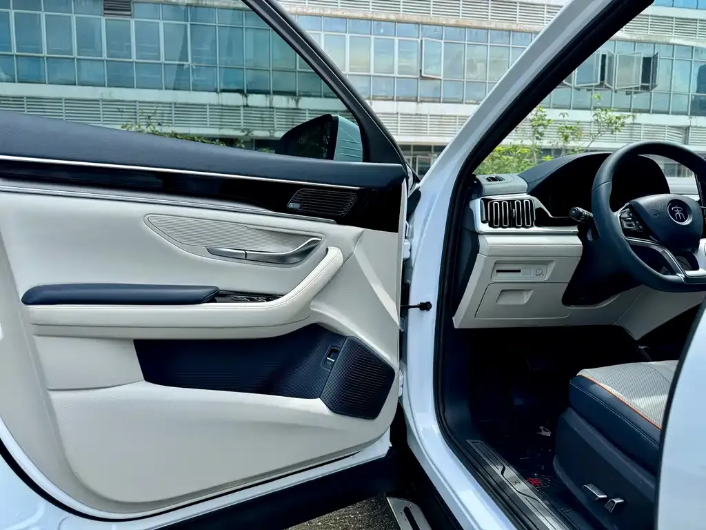 BYD PLUS New Energy — фото 4
