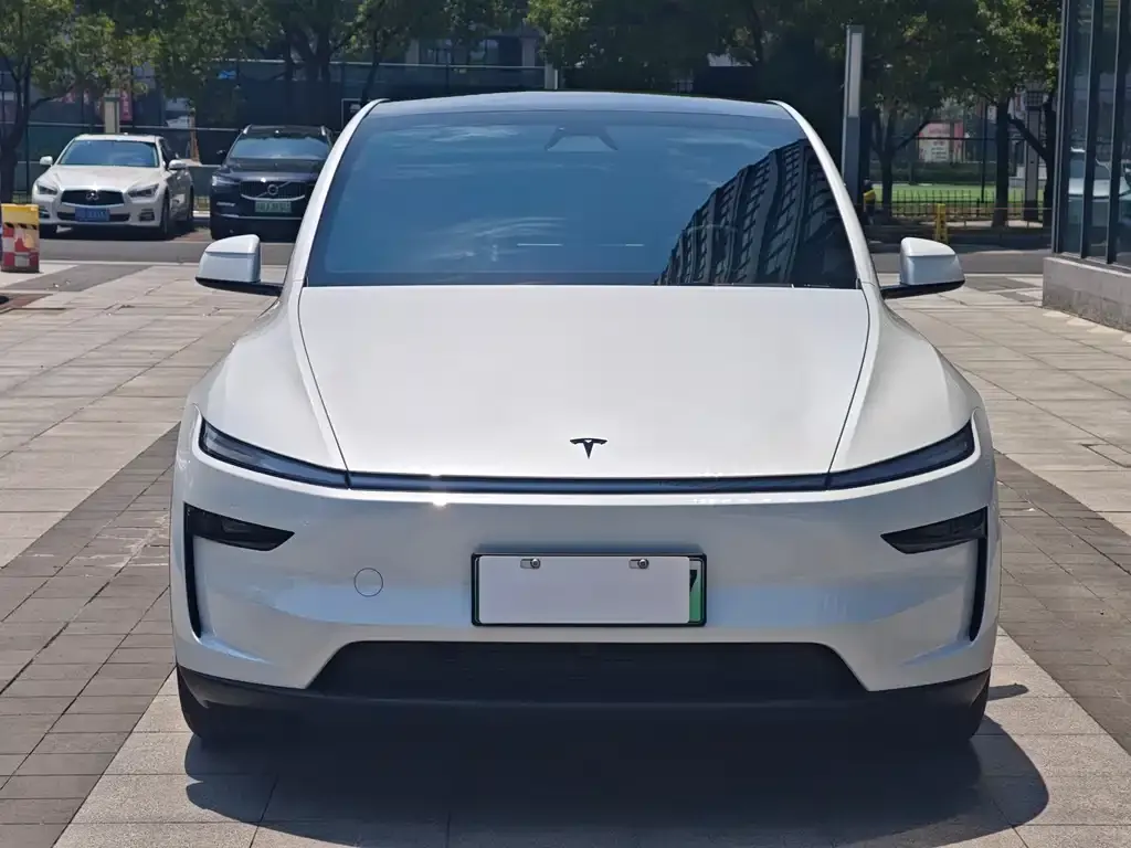 Tesla Model Y — фото 7