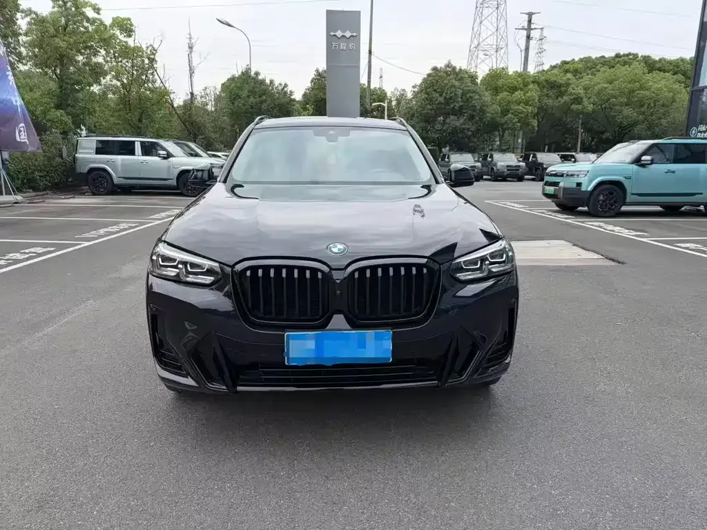 BMW X3 2022 из CN, фото 9