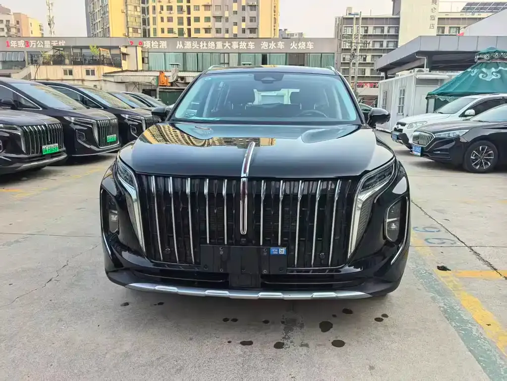 Hongqi HS7 PHEV 2024 из CN, фото 5