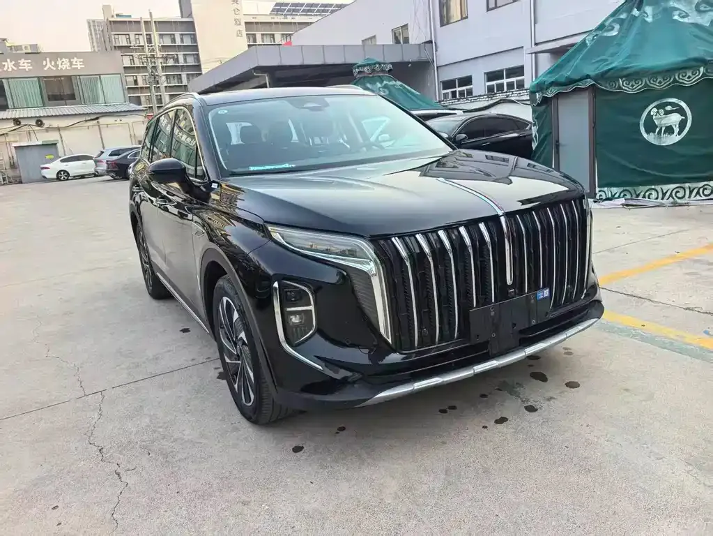 Hongqi HS7 PHEV 2024 из CN, фото 8