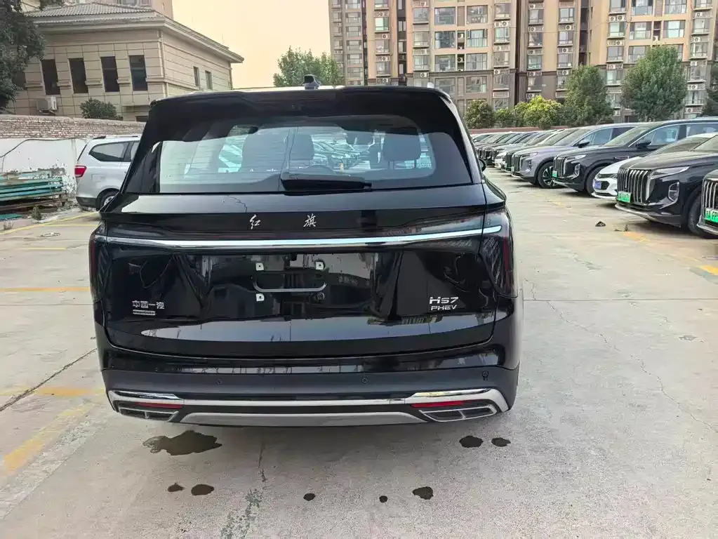 Hongqi HS7 PHEV 2024 из CN, фото 10