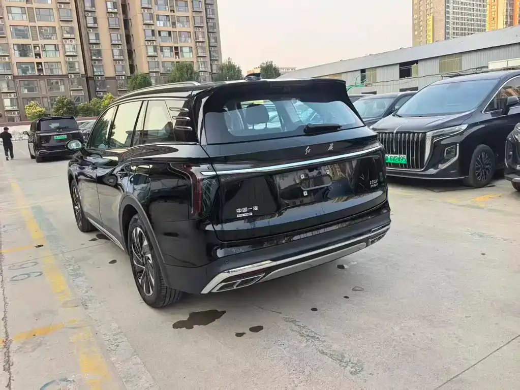 Hongqi HS7 PHEV 2024 из CN, фото 9