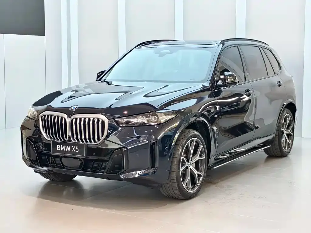 BMW X5 — фото 1