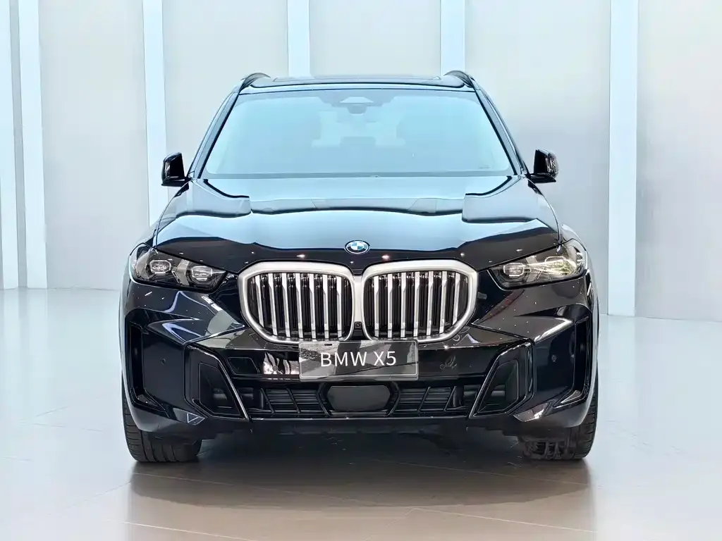 BMW X5 — фото 9