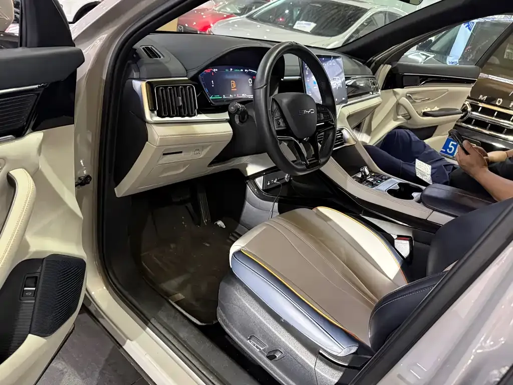 BYD PLUS New Energy — фото 4