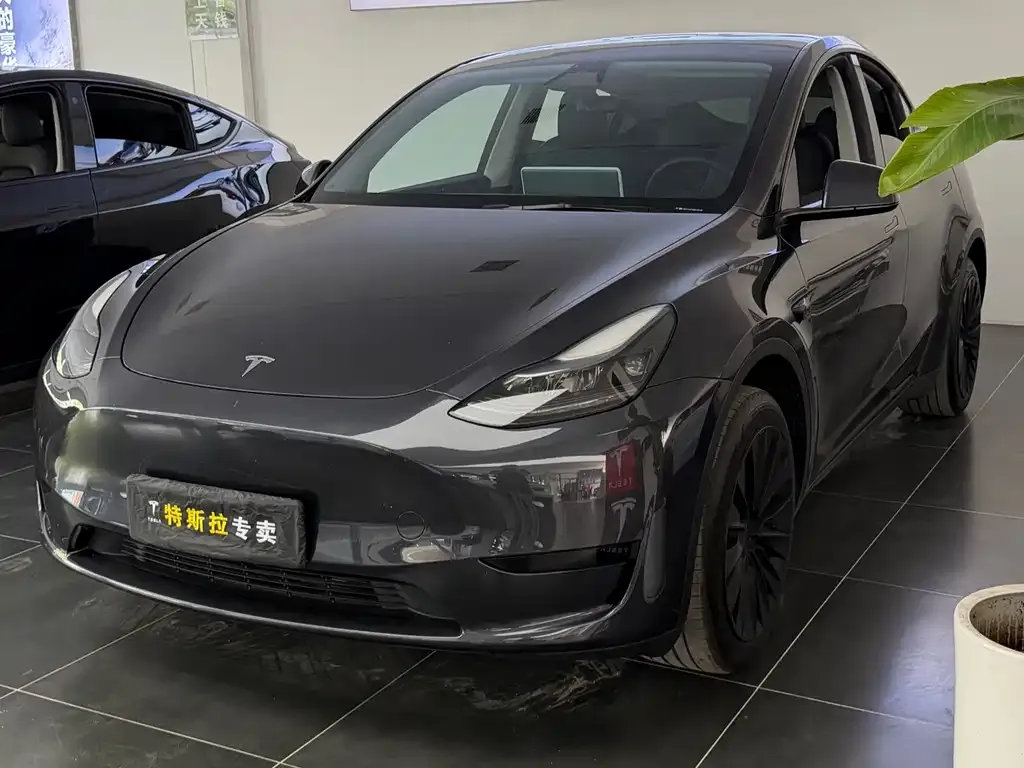 Tesla Model Y — фото 1