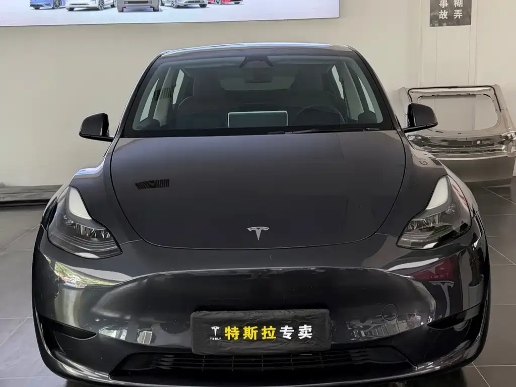Tesla Model Y — фото 3