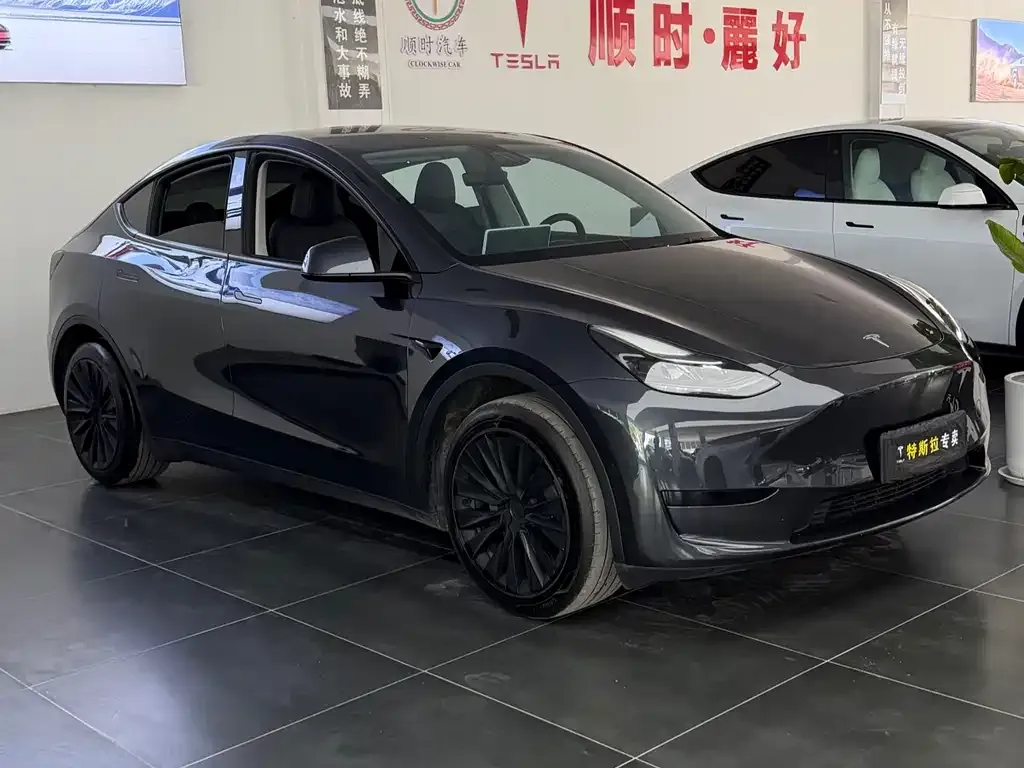 Tesla Model Y — фото 5