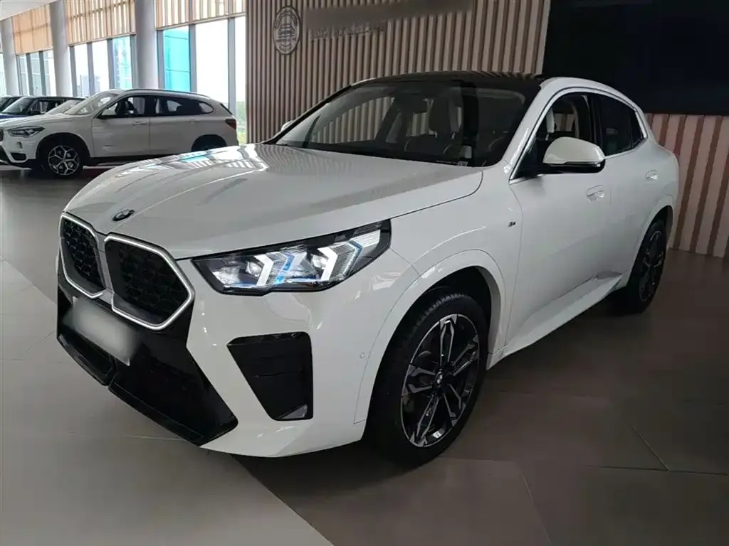 BMW X2 (Import) — фото 5