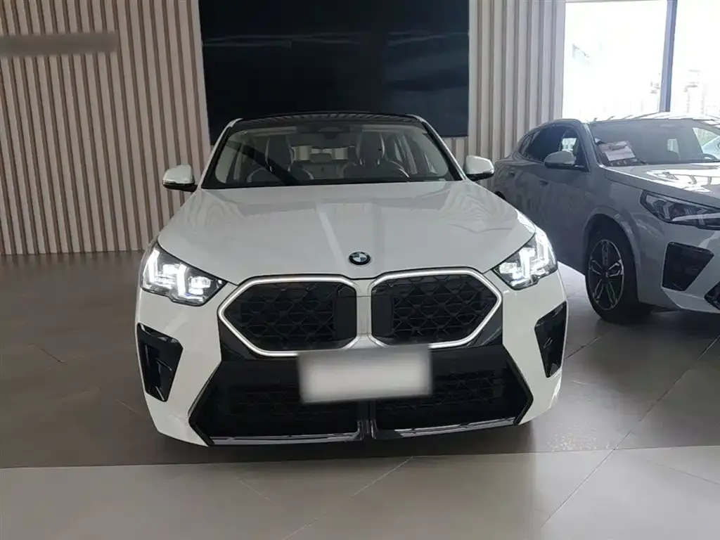 BMW X2 (Import) — фото 9