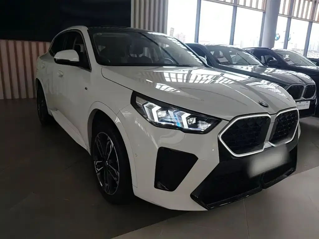 BMW X2 (Import) — фото 7