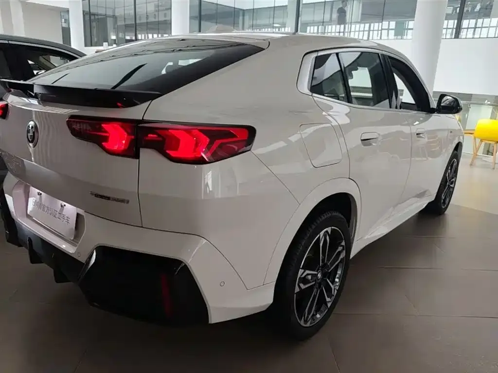 BMW X2 (Import) — фото 10