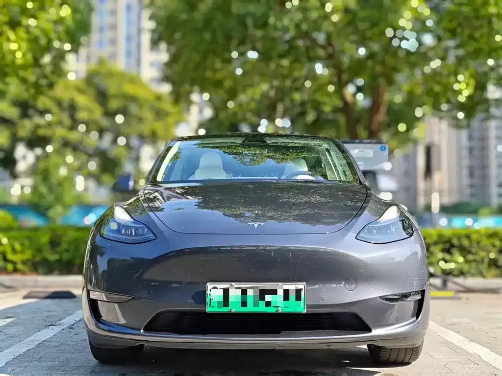Tesla Model Y — фото 6