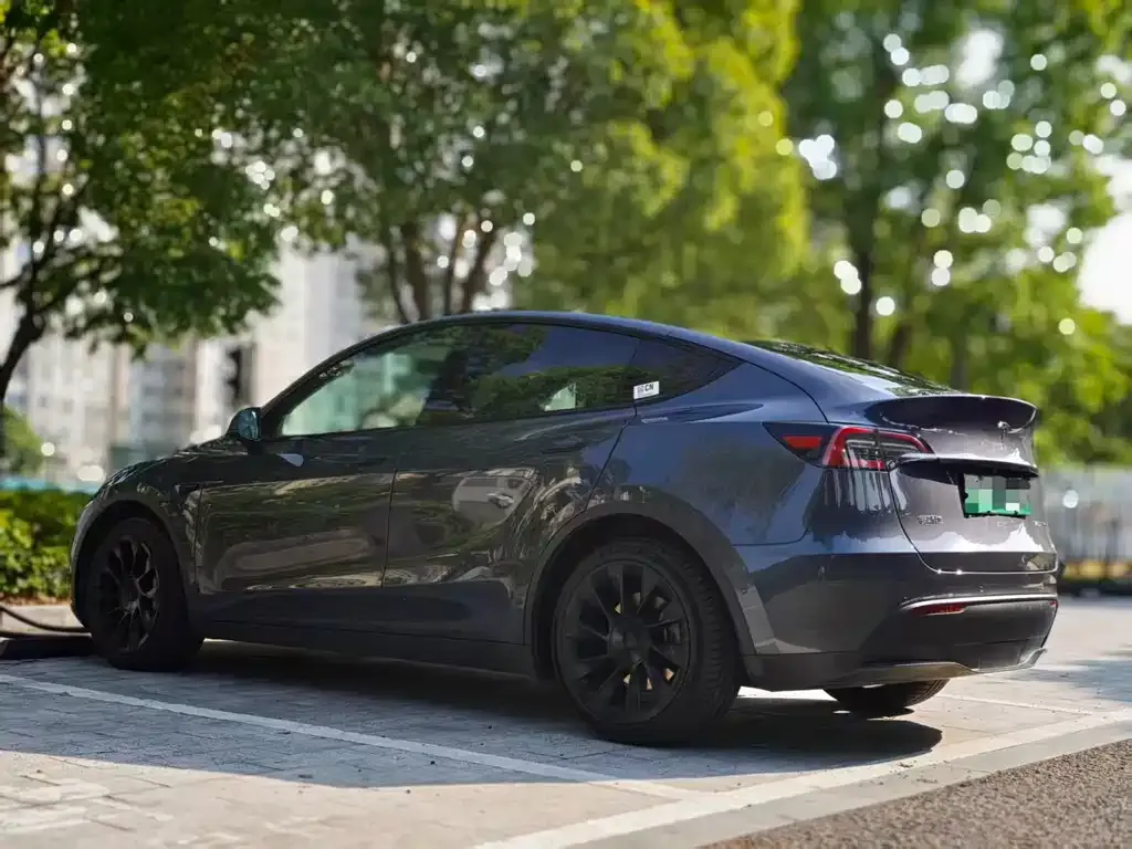Tesla Model Y — фото 9