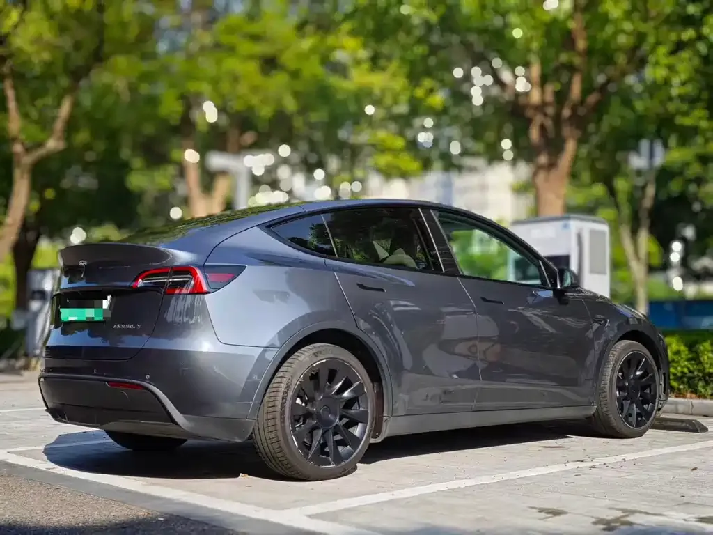 Tesla Model Y — фото 4