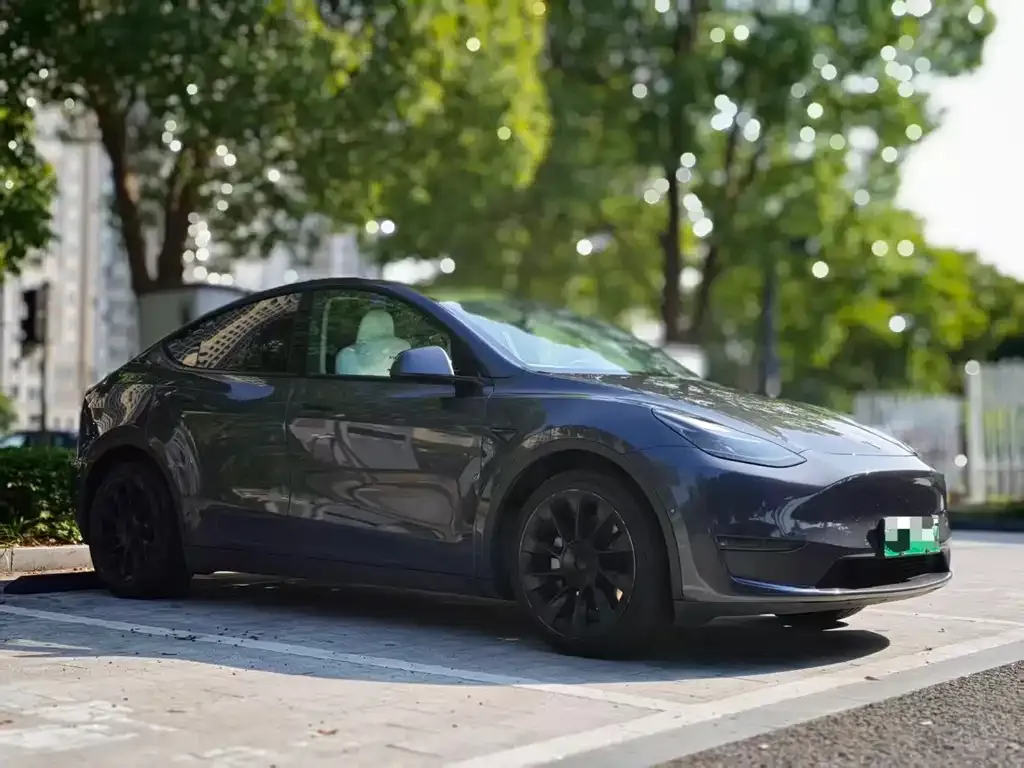 Tesla Model Y — фото 7