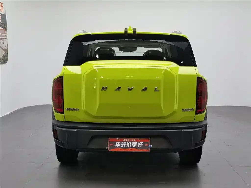 Haval Cool Dog — фото 6