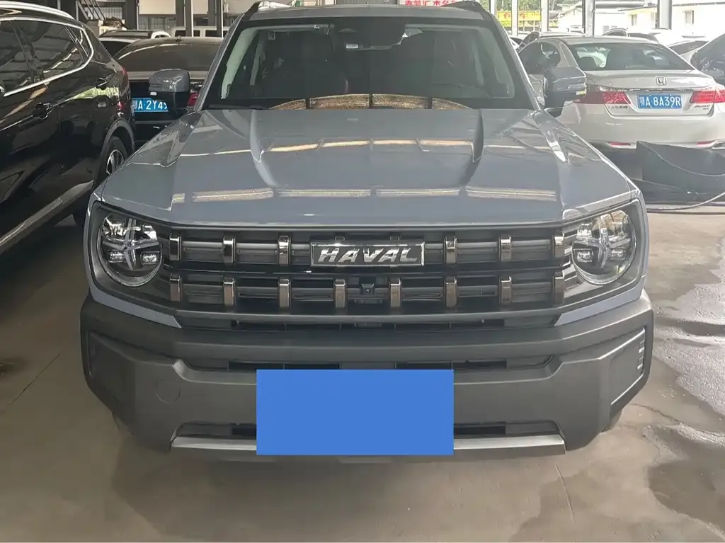 Haval Cool Dog 2022 из CN, фото 10