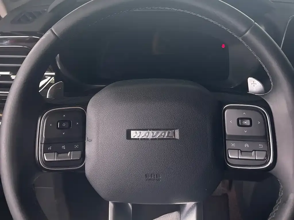 Haval Cool Dog 2022 из CN, фото 9