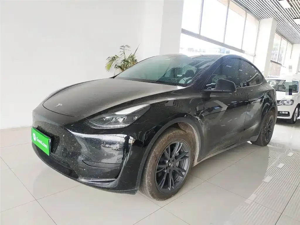 Tesla Model Y — фото 1