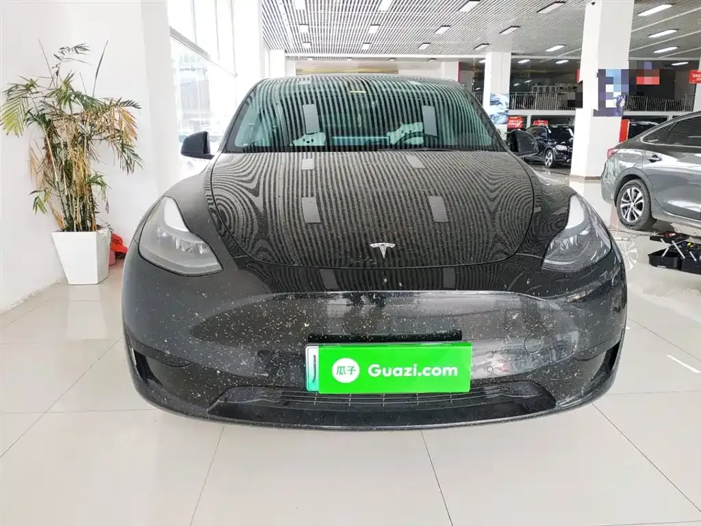 Tesla Model Y — фото 3