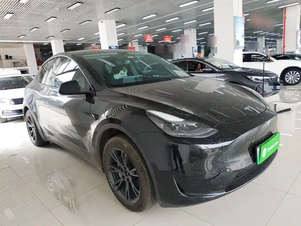 Tesla Model Y — фото 8
