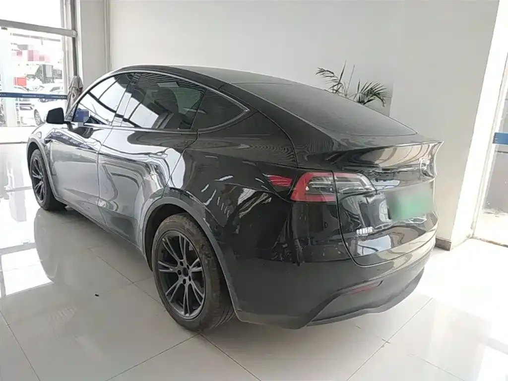Tesla Model Y — фото 2