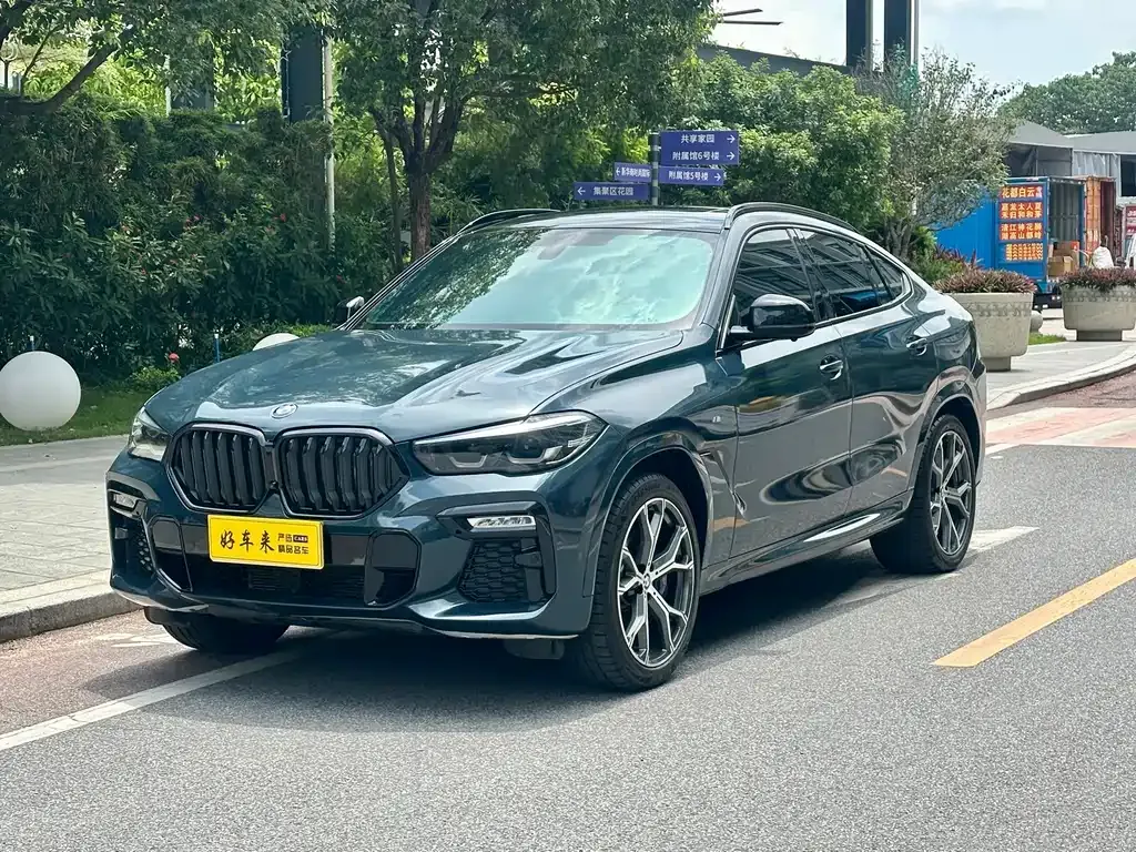 BMW X6