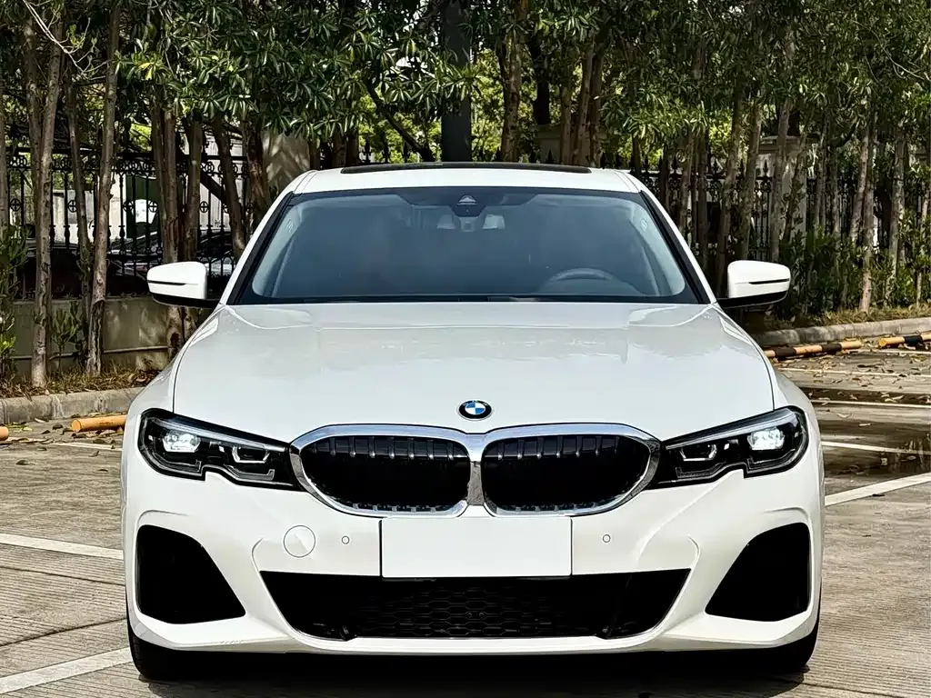 BMW 3 Series 2021 из CN, фото 9