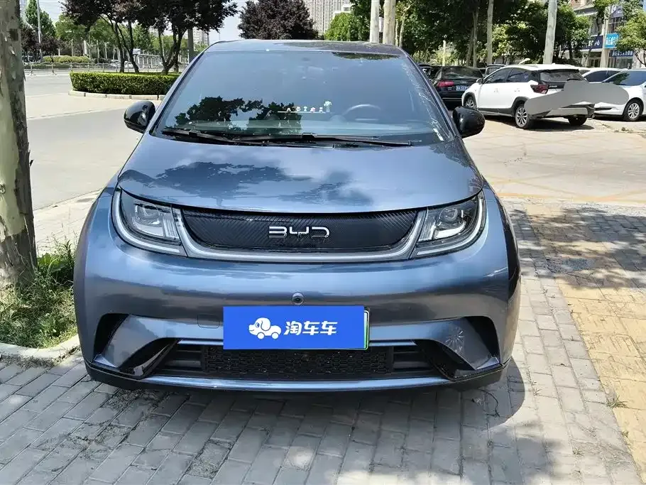 BYD Dolphin 2024 из CN, фото 5