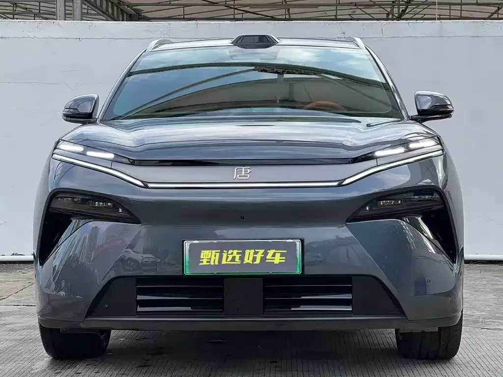BYD Tang L — фото 6