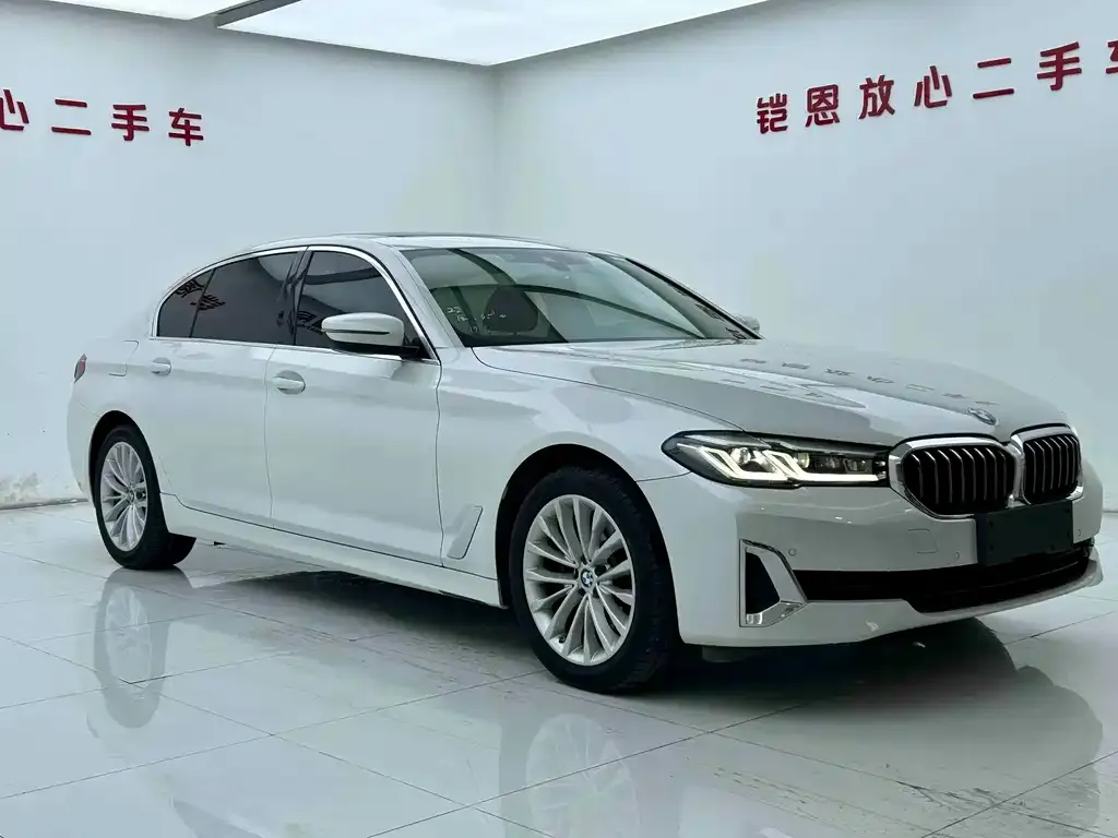 BMW 5 Series 2021 из CN, фото 3