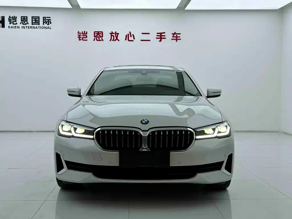 BMW 5 Series 2021 из CN, фото 6