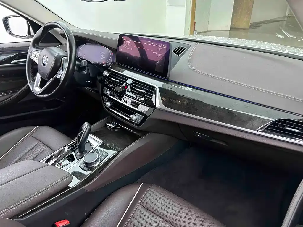 BMW 5 Series 2021 из CN, фото 9