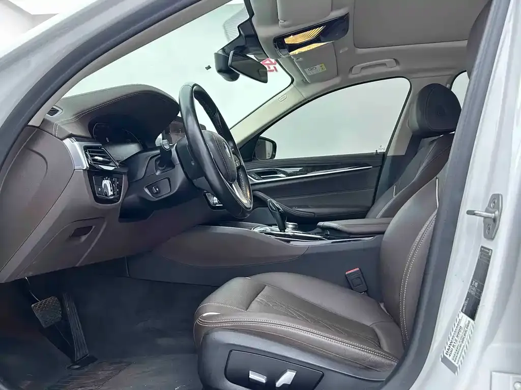 BMW 5 Series 2021 из CN, фото 8