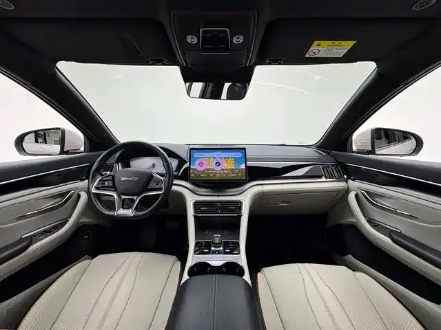 BYD PLUS New Energy — фото 8