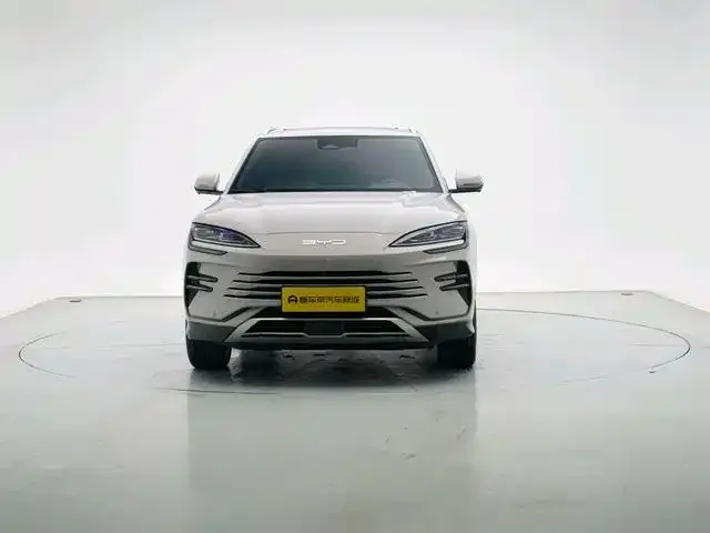BYD PLUS New Energy — фото 2