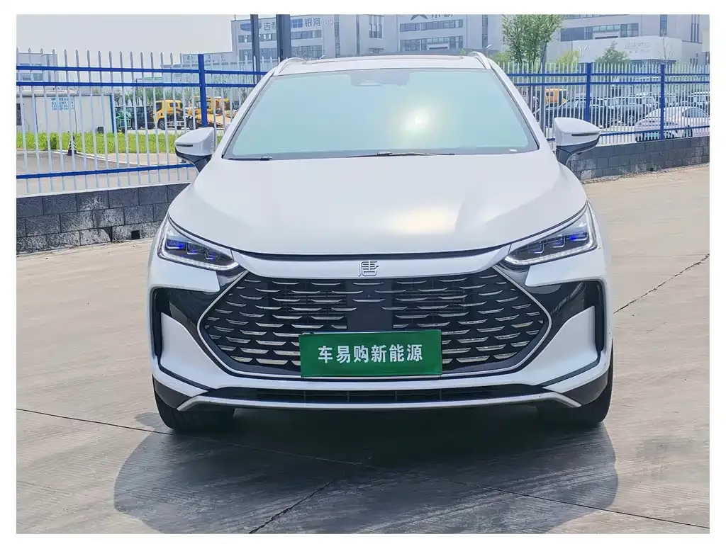 BYD Tang New Energy 2024 из CN, фото 9