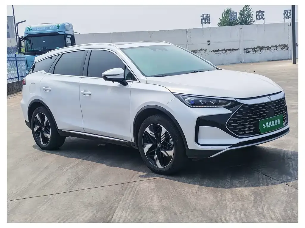 BYD Tang New Energy 2024 из CN, фото 3