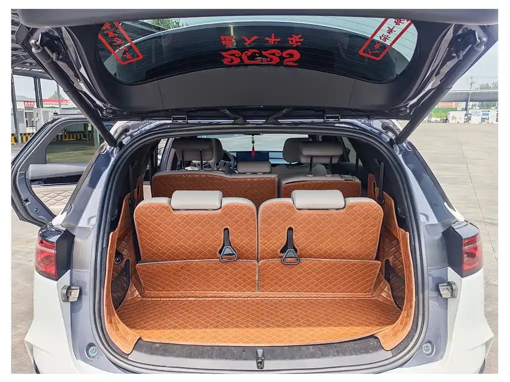 BYD Tang New Energy 2024 из CN, фото 5