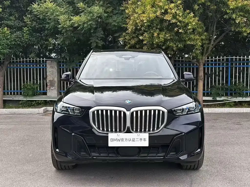 BMW X5 2025 из CN, фото 7