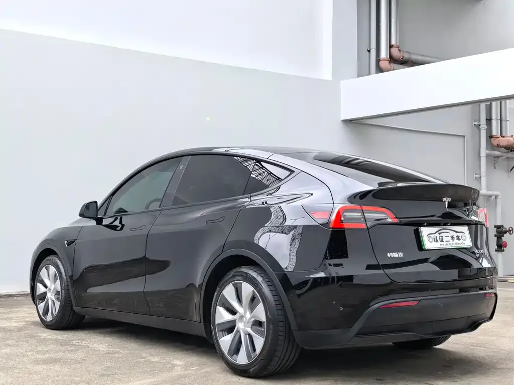 Tesla Model Y — фото 6