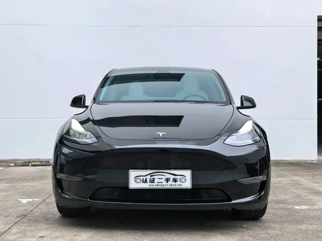 Tesla Model Y — фото 5