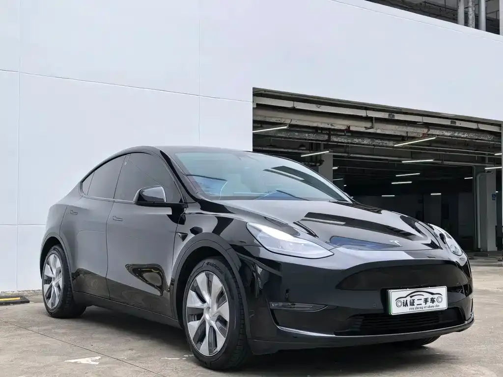 Tesla Model Y — фото 10
