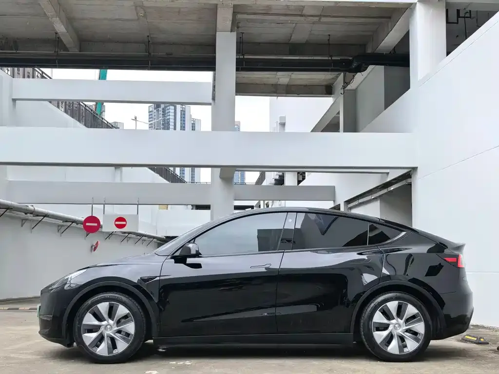 Tesla Model Y — фото 4