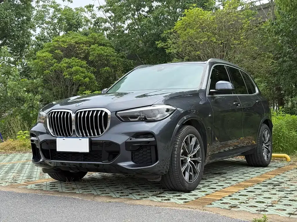 BMW X5 (Import) — фото 1