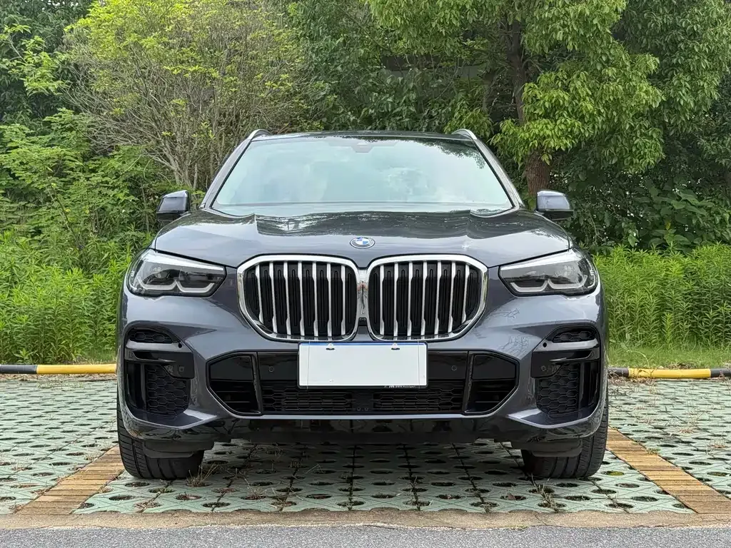 BMW X5 (Import) — фото 7