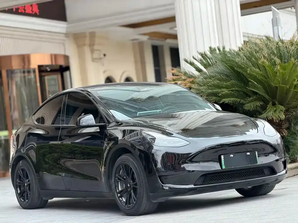 Tesla Model Y 2023 из CN, фото 7