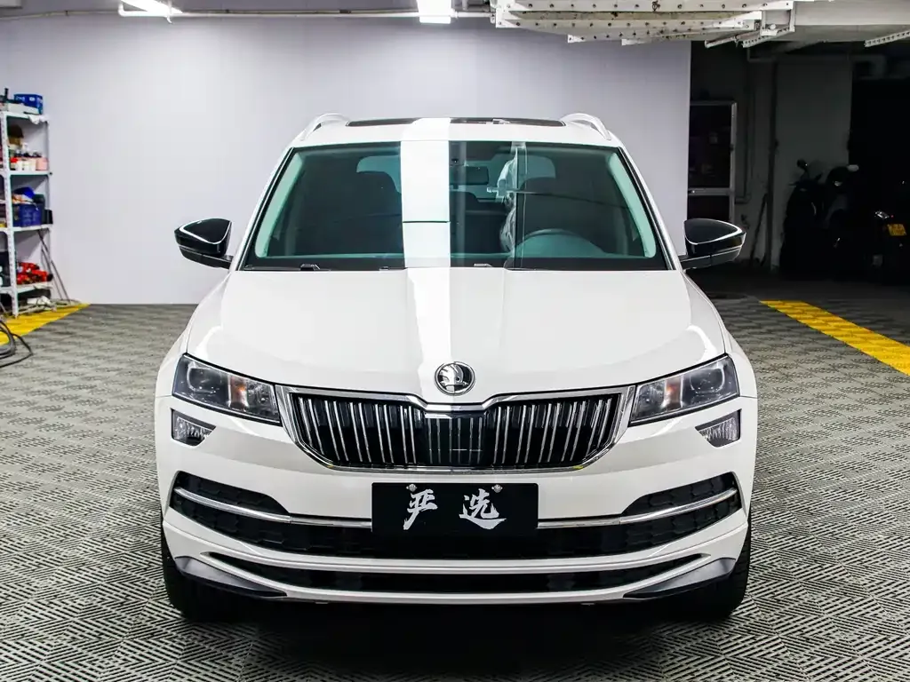 Skoda Karoq 2022 из CN, фото 7